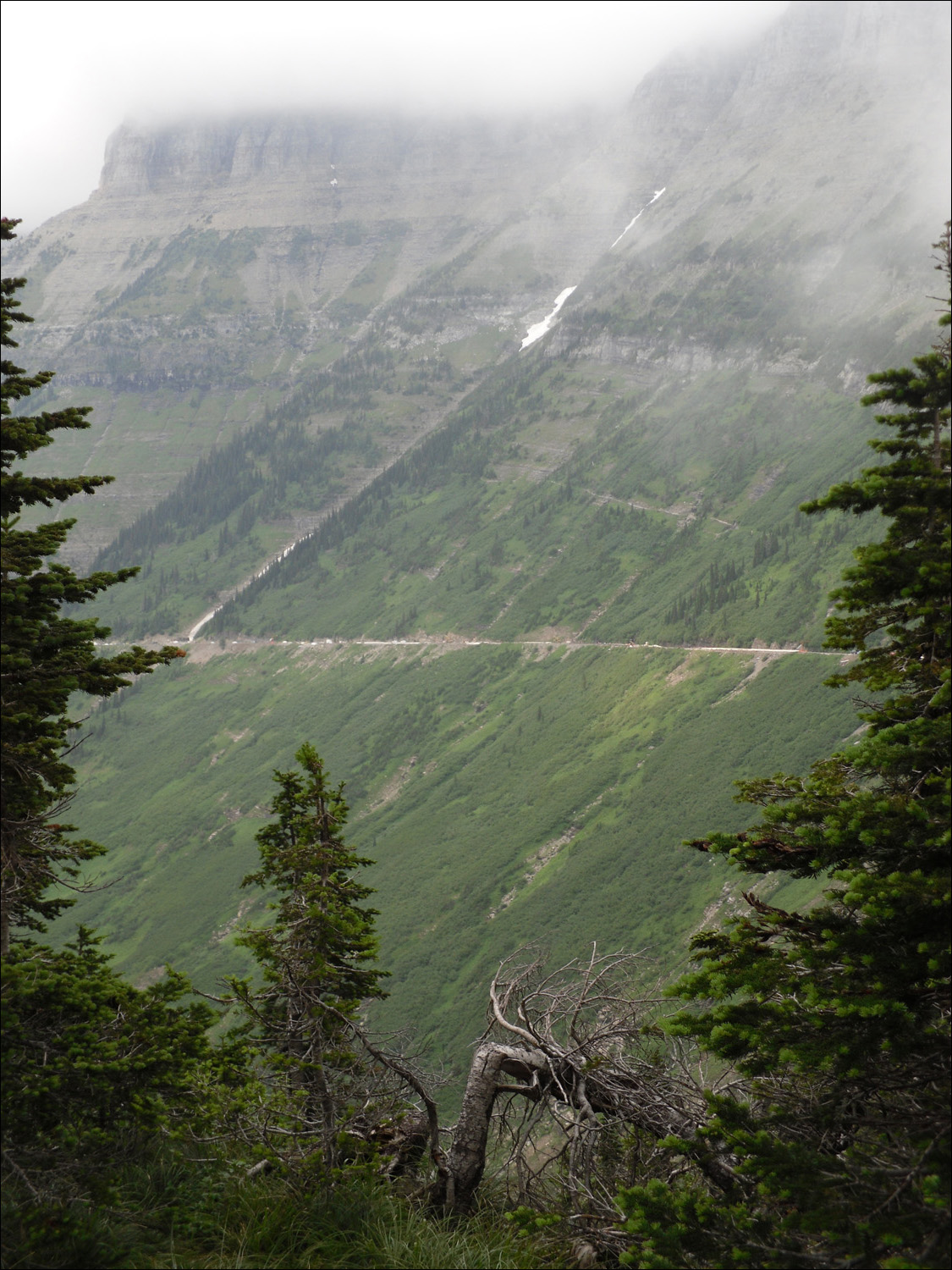 Glacier National Park-Views from west of Logans Pass on Going to the Sun Road.